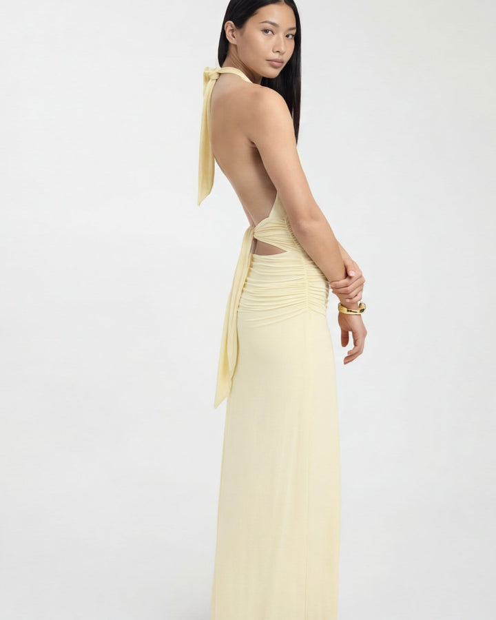 Amy Plunge Halter Maxi Dress