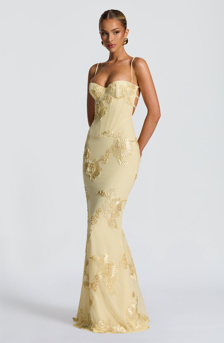 Elowen Embroidered Corset Maxi Dress