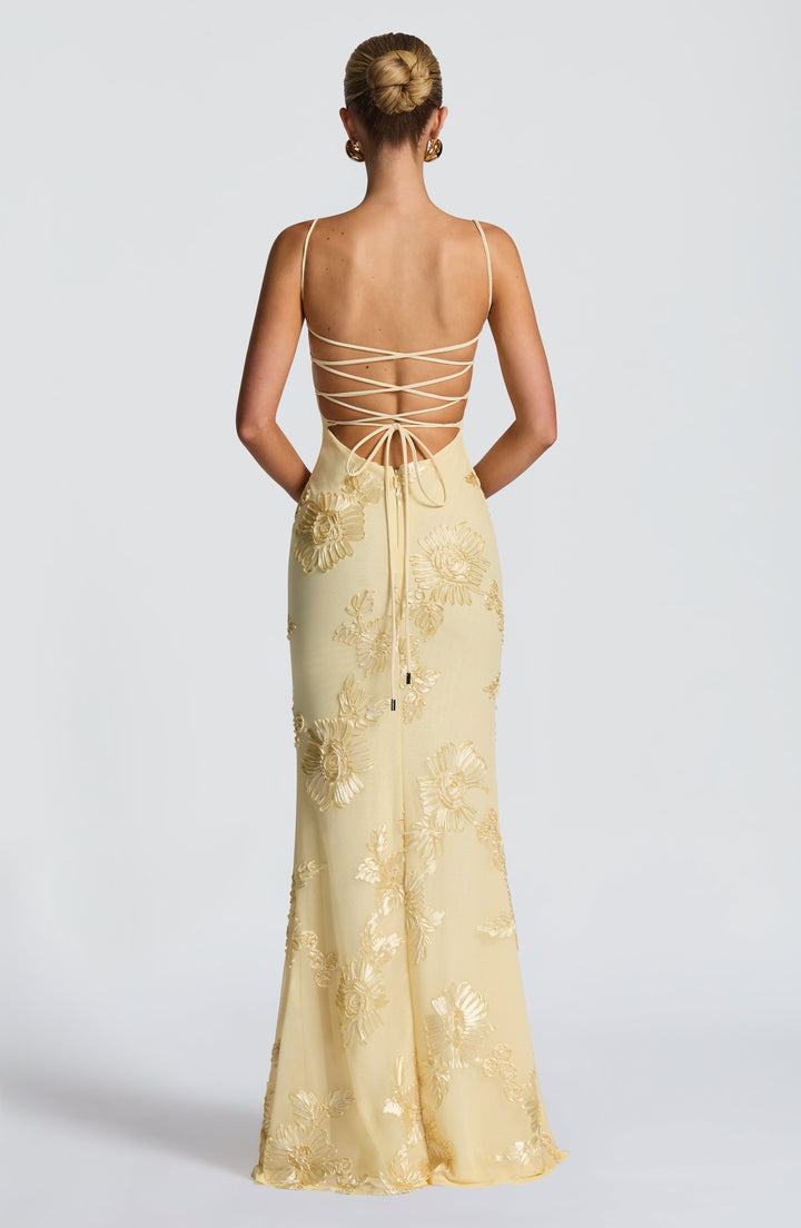Elowen Embroidered Corset Maxi Dress