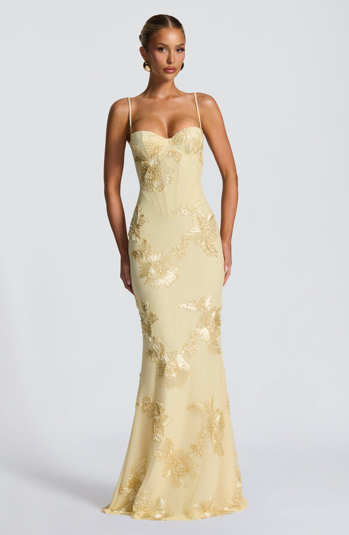 Elowen Embroidered Corset Maxi Dress