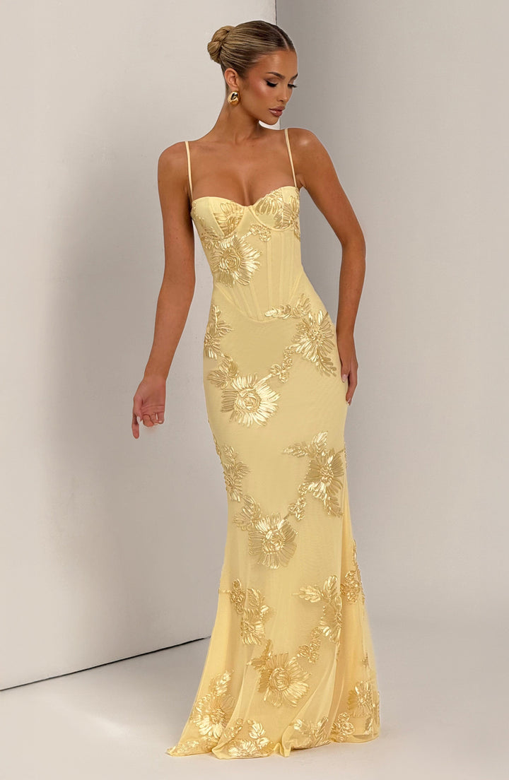 Elowen Embroidered Corset Maxi Dress