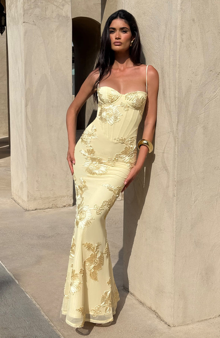 Elowen Embroidered Corset Maxi Dress