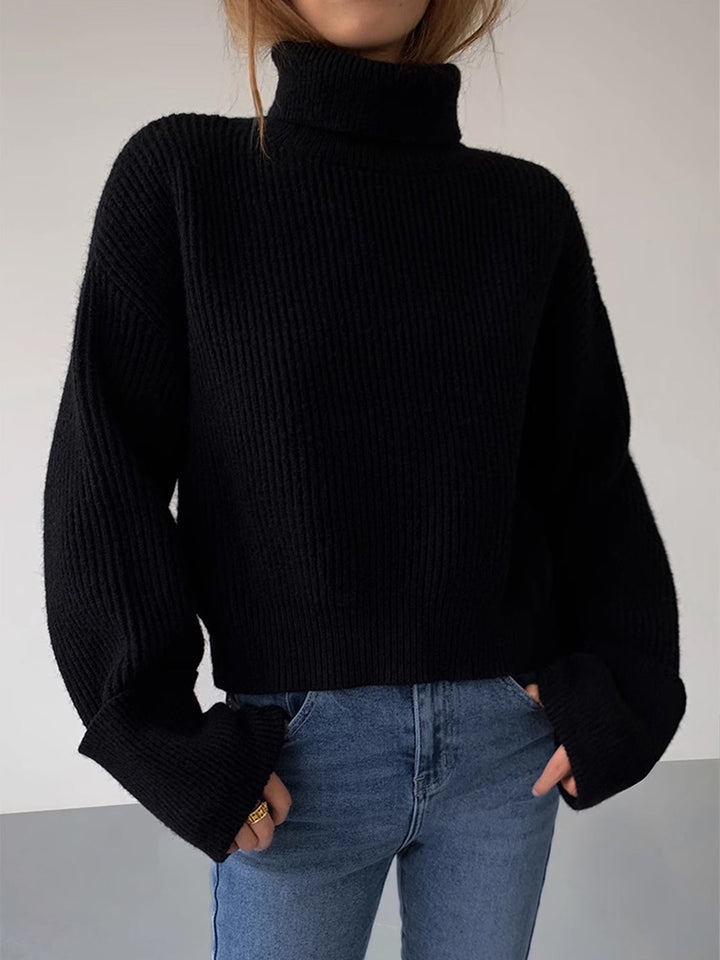 Iliana Oversized Turtleneck Sweater