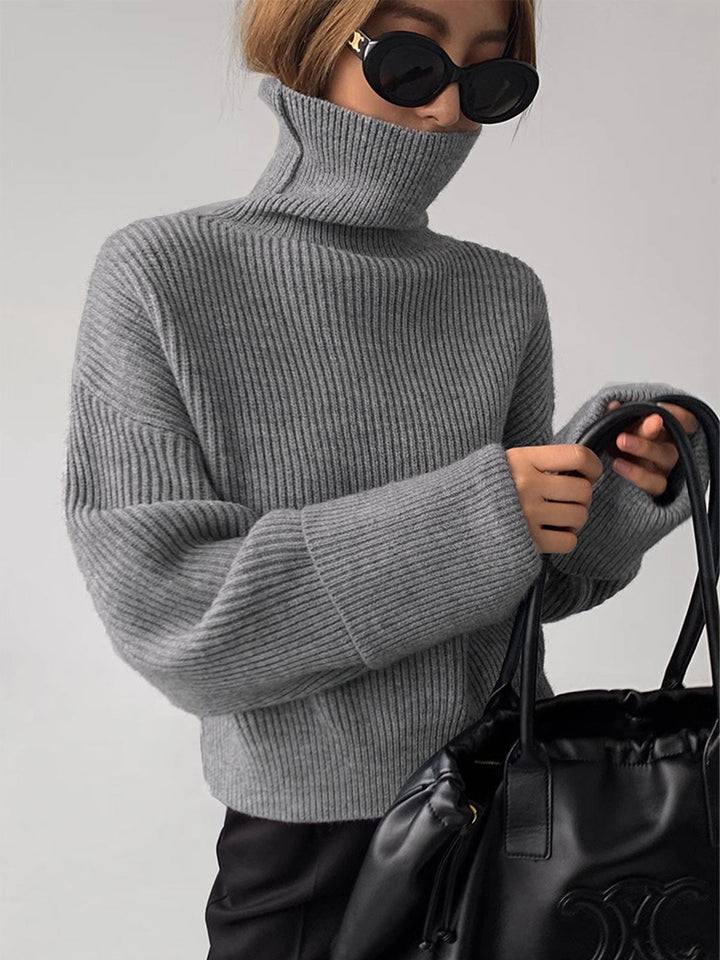 Iliana Oversized Turtleneck Sweater