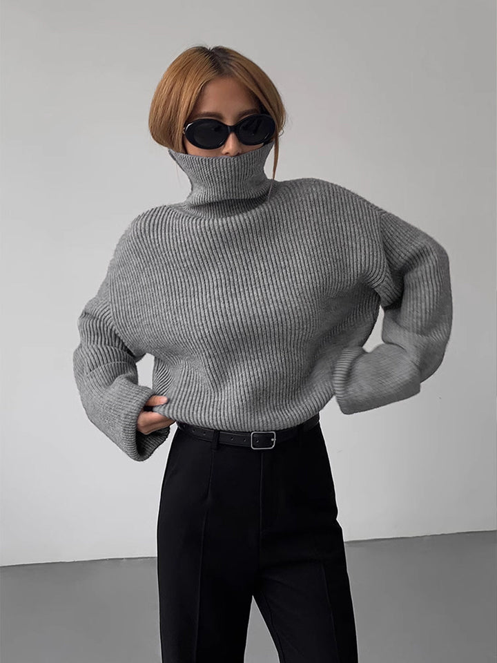 Iliana Oversized Turtleneck Sweater