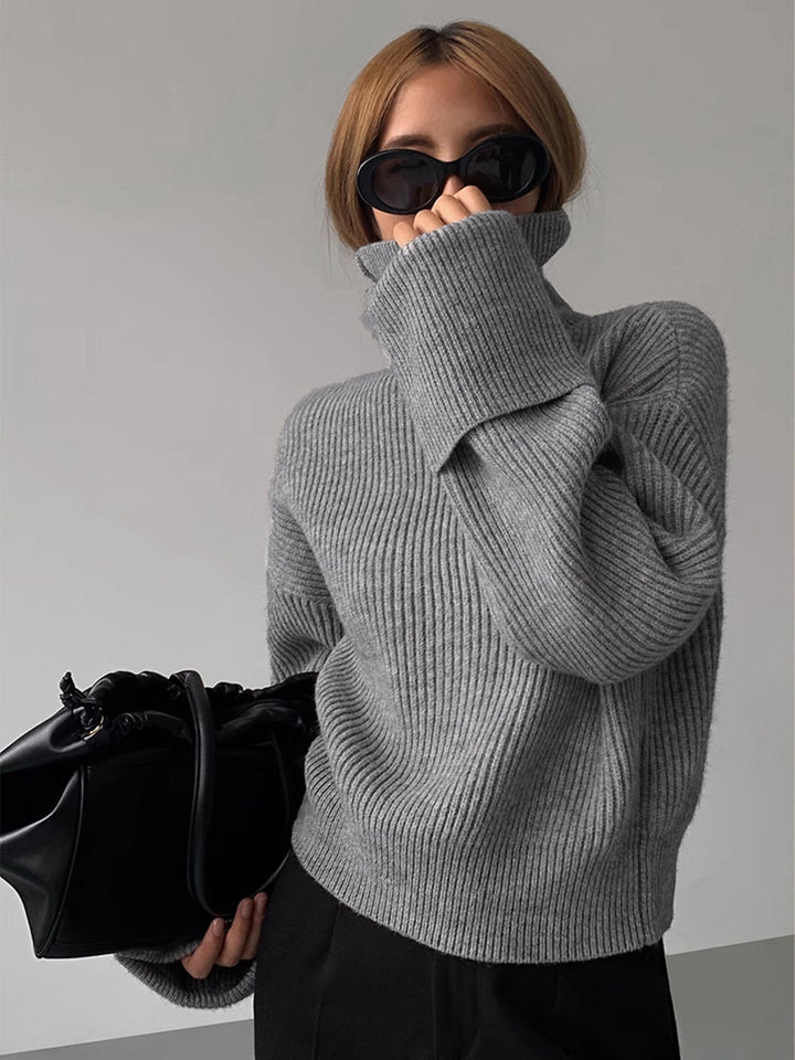 Iliana Oversized Turtleneck Sweater