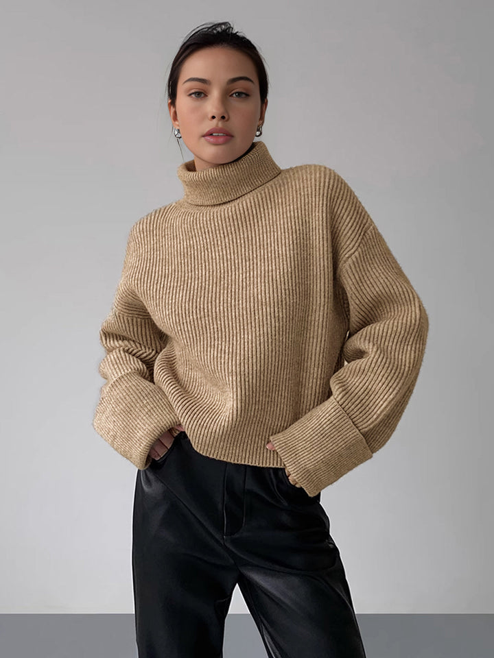 Iliana Oversized Turtleneck Sweater