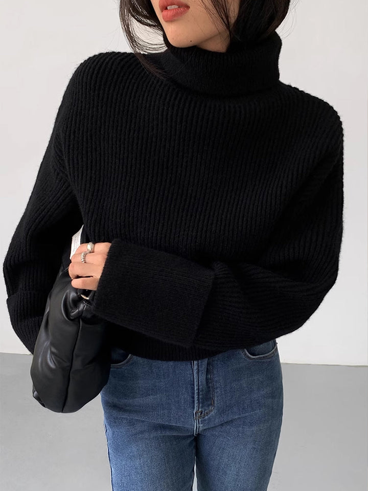 Iliana Oversized Turtleneck Sweater