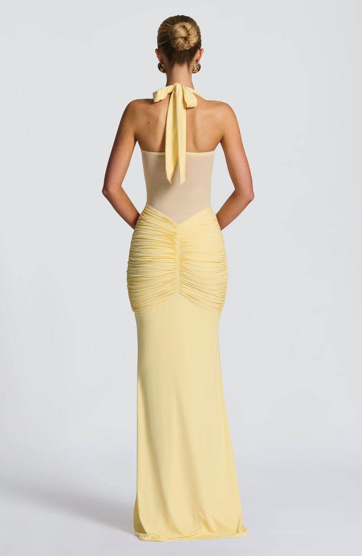 Vida Sheer Panel Halter Maxi Dress